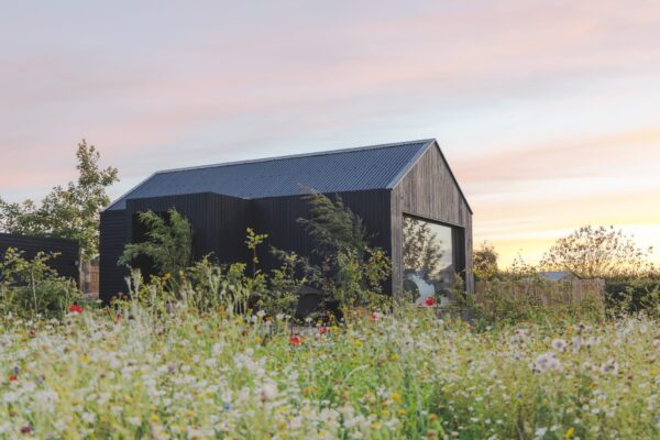 thisPost.thumbnail.alt